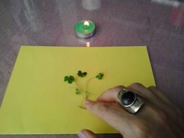 Hechizo de magia blanca con trébol