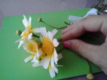 Hechizos de magia blanca con margaritas para recuperar a la pareja