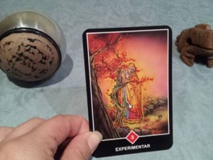Significado de Experimentar en una lectura de tarot Osho