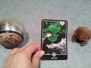Significado de Soltar en una lectura de tarot Osho