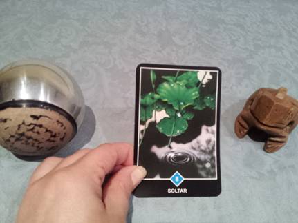 Significado de Soltar en una lectura de tarot Osho