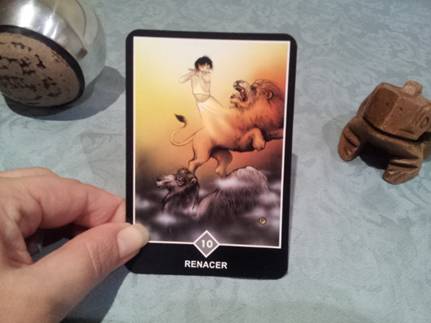 Significado de Renacer en una lectura de tarot Osho