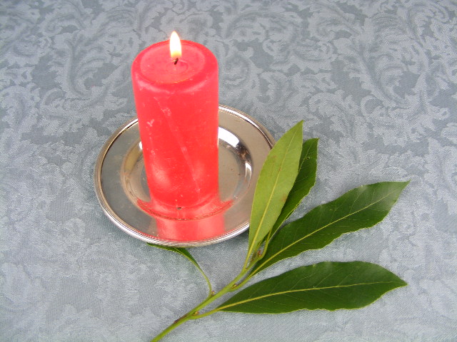 Rituales para enamorar